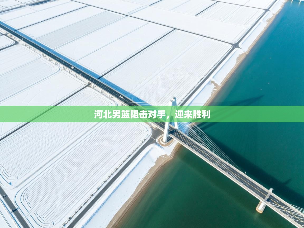 河北男篮阻击对手，迎来胜利