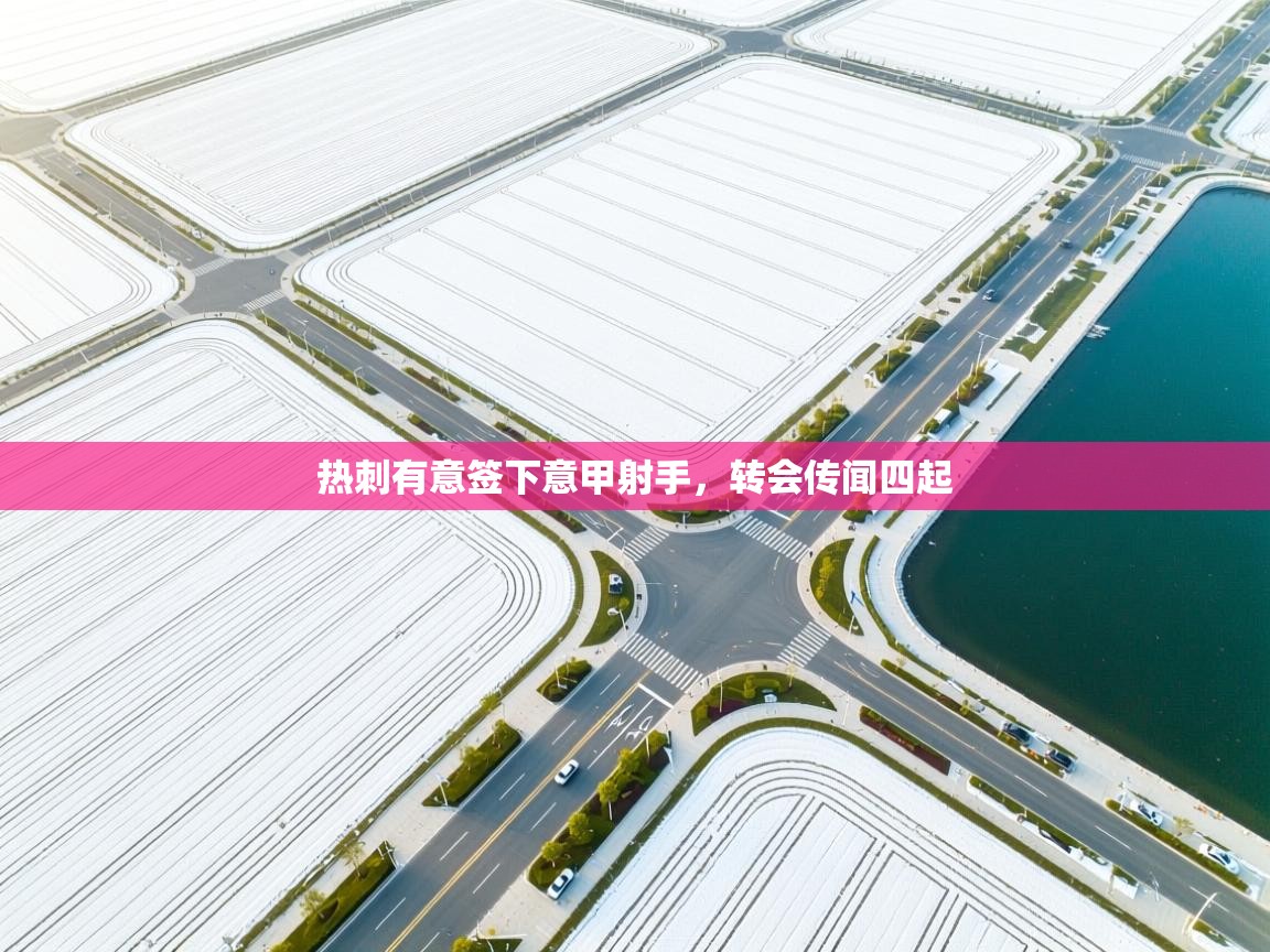 热刺有意签下意甲射手，转会传闻四起